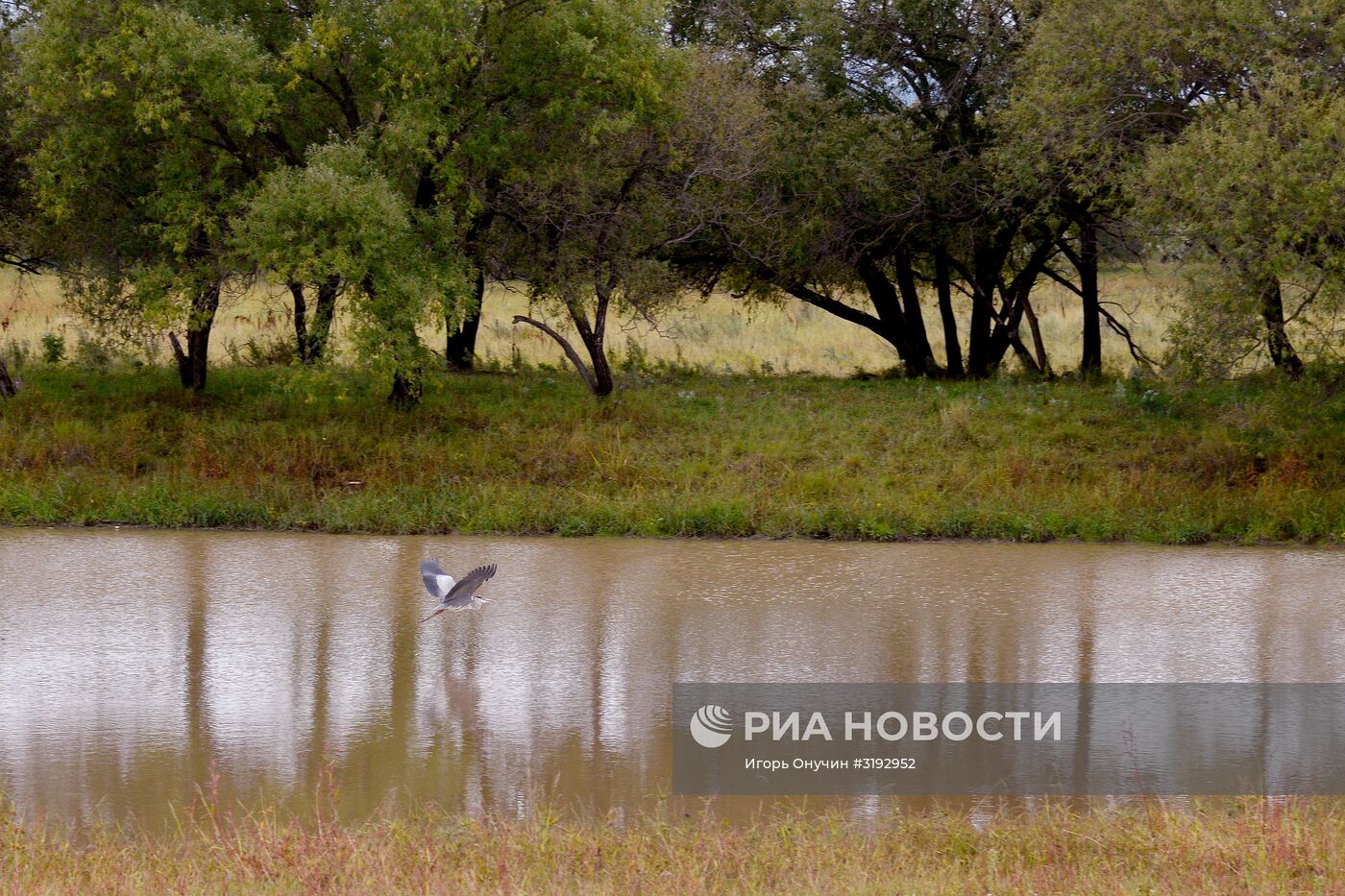 Остров Большой Уссурийский в Хабаровском крае