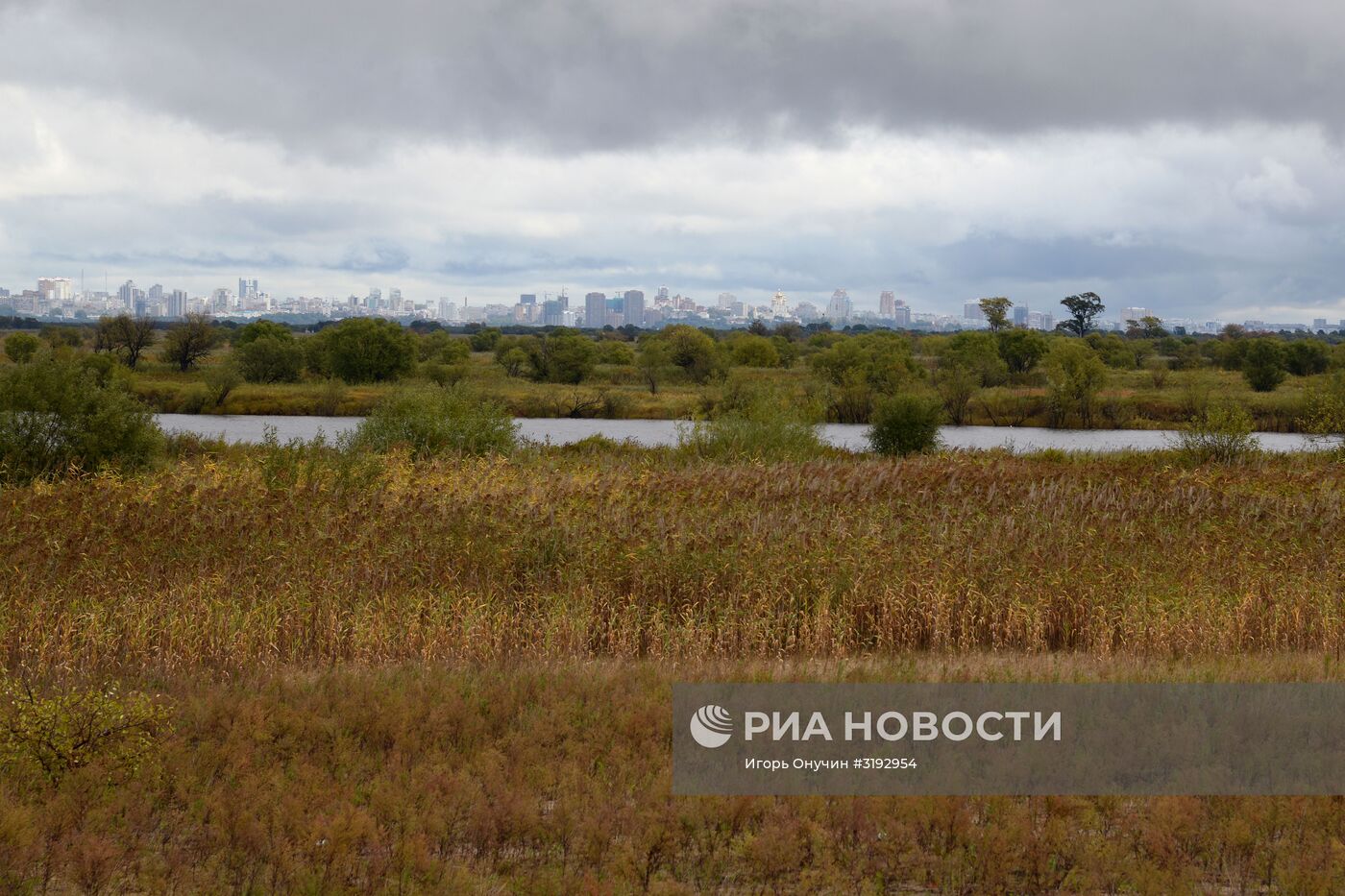 Остров Большой Уссурийский в Хабаровском крае