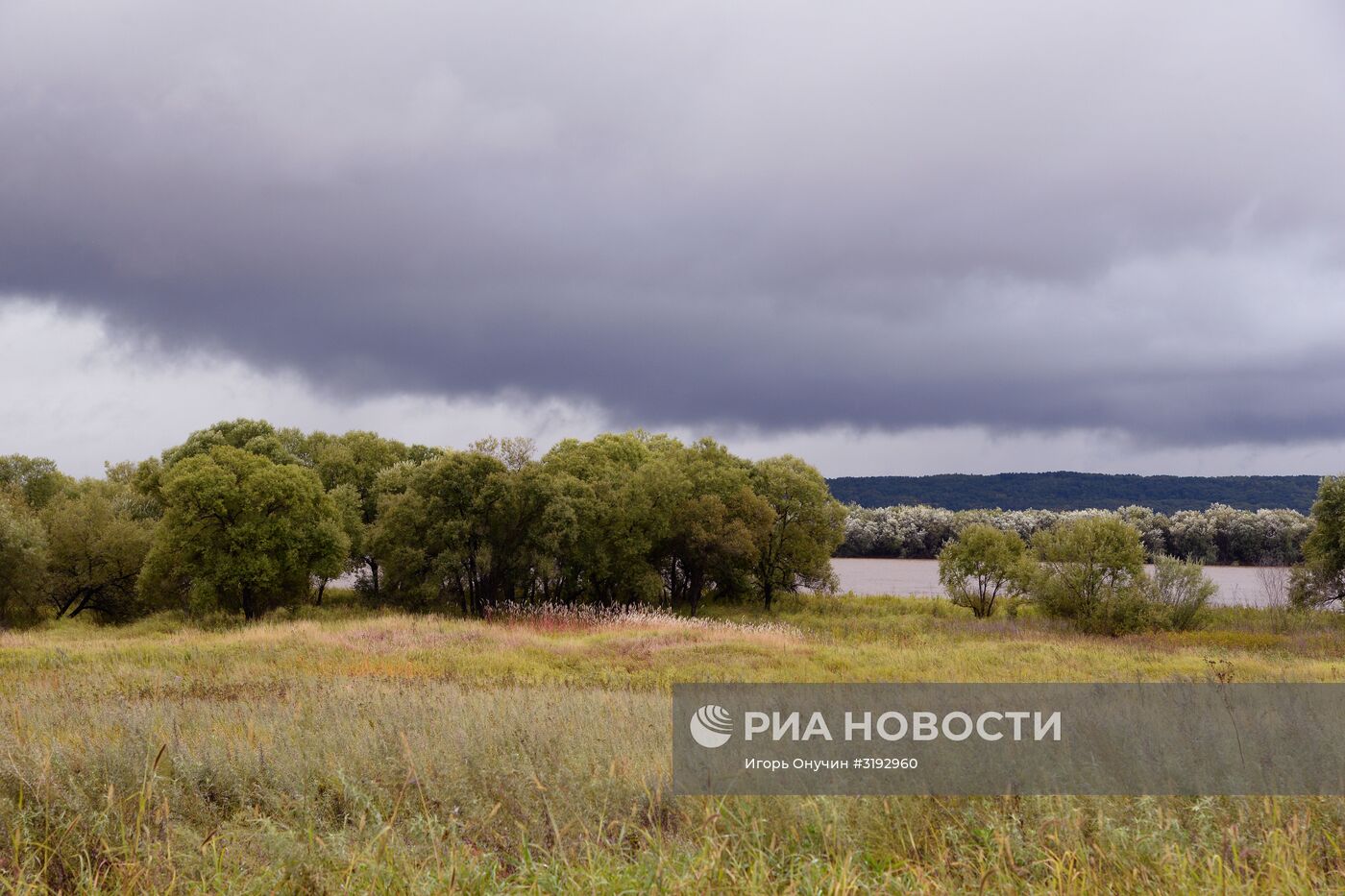 Остров Большой Уссурийский в Хабаровском крае