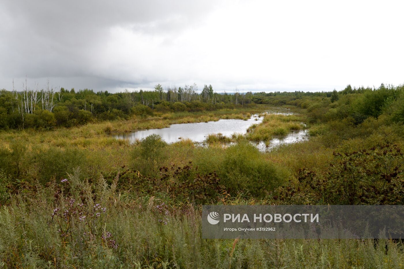 Остров Большой Уссурийский в Хабаровском крае