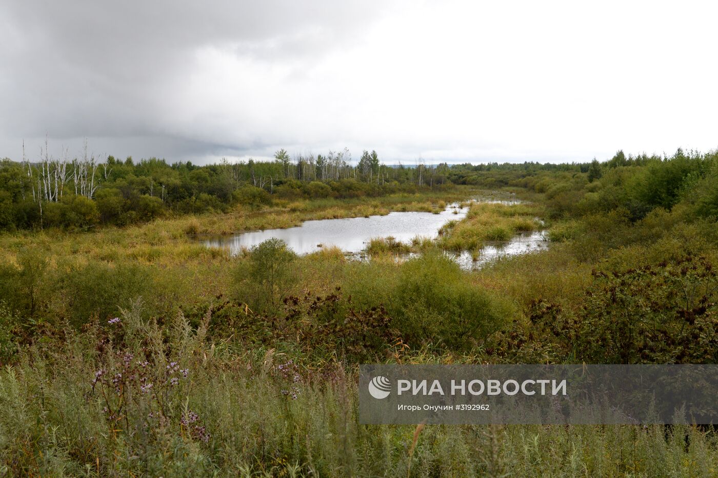 Остров Большой Уссурийский в Хабаровском крае