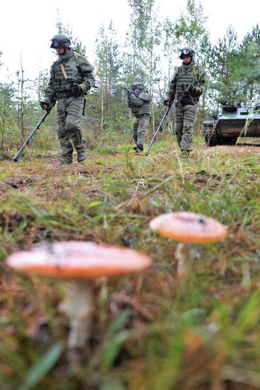 Военные учения в Ленинградской области