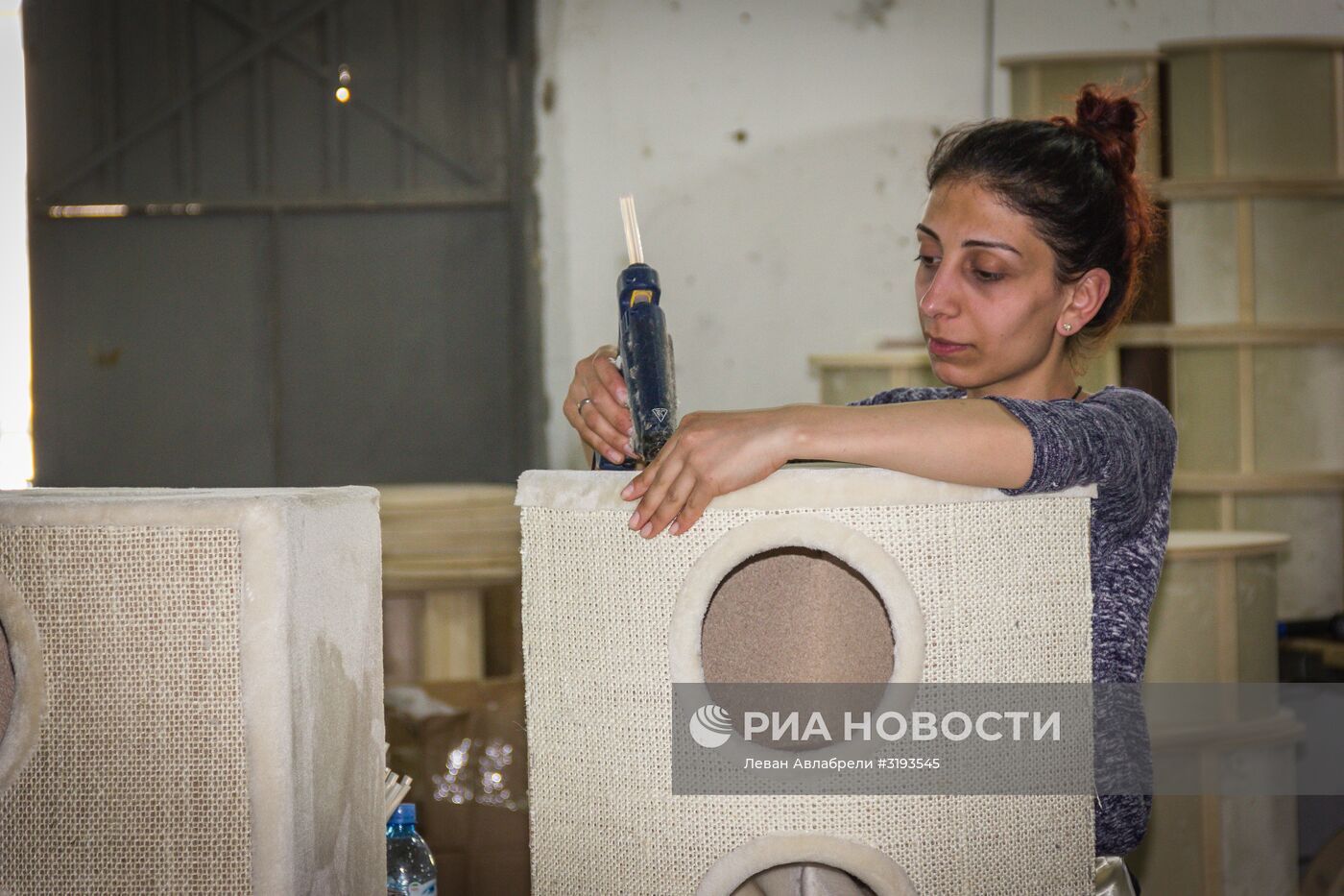 Производство мебели для домашних животных в Грузии