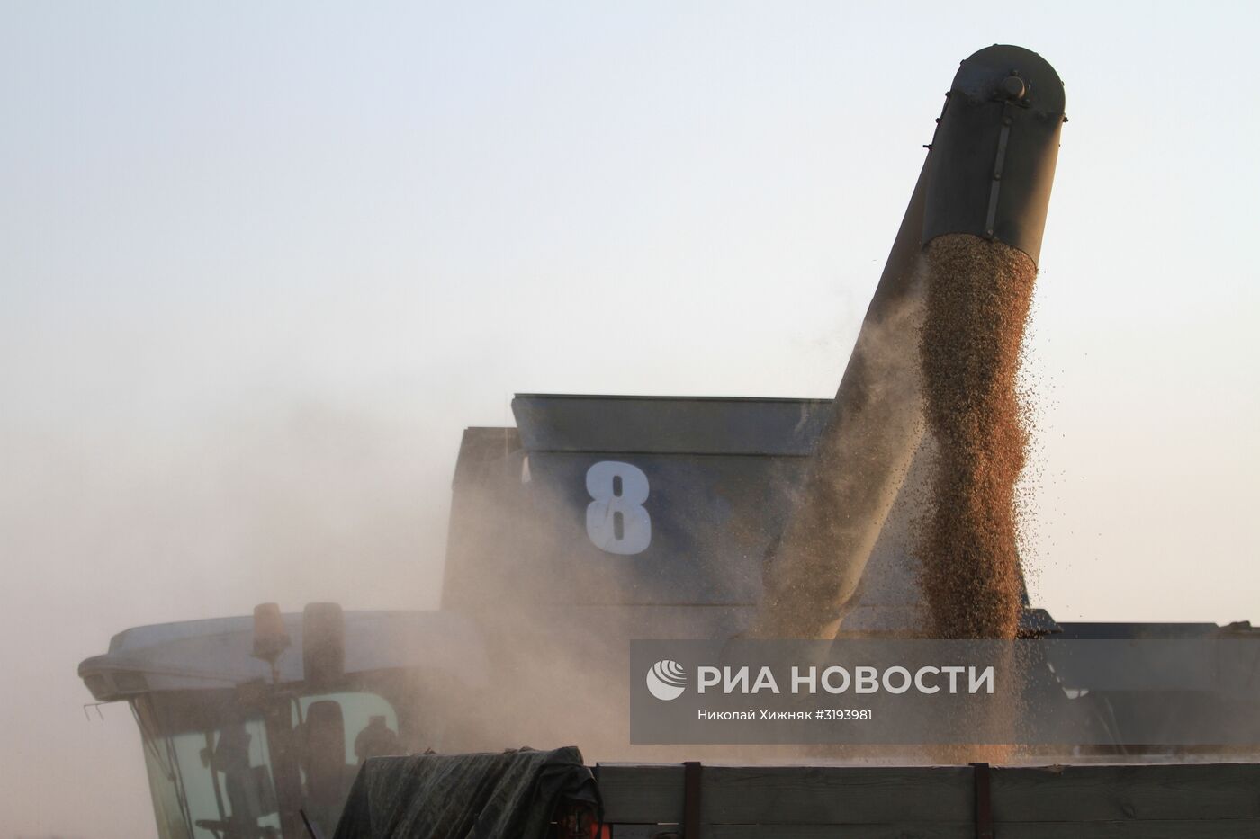 Уборка урожая риса в Краснодарском крае