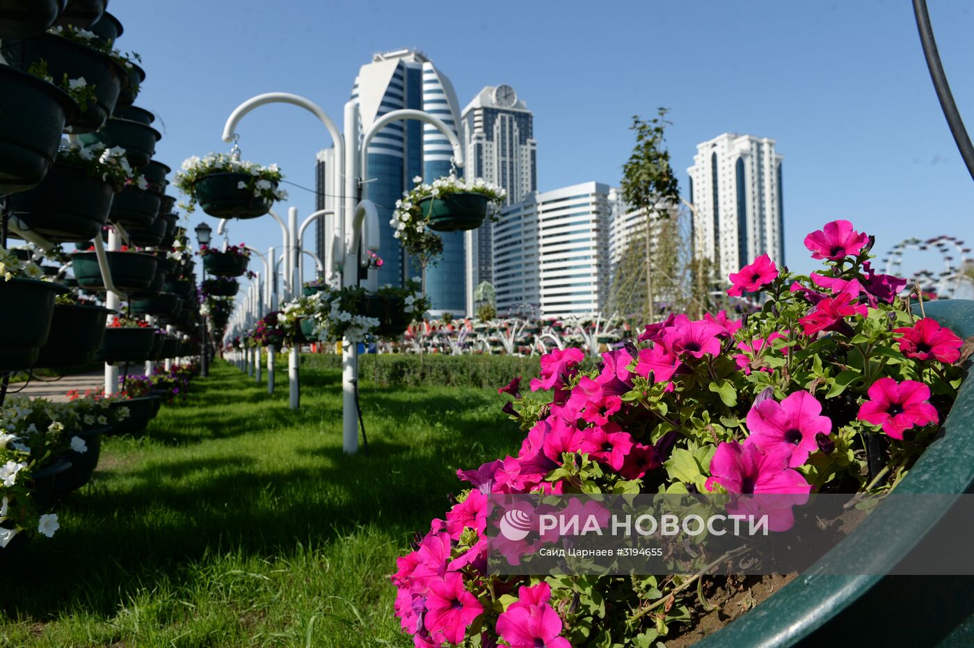 Открытие цветочного парка в Грозном