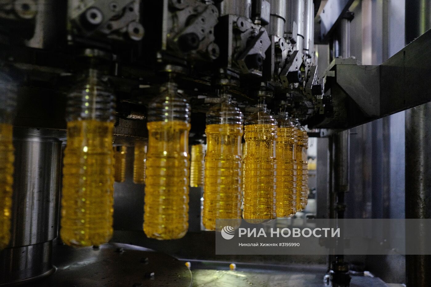 Производство растительного масла в Краснодарском крае