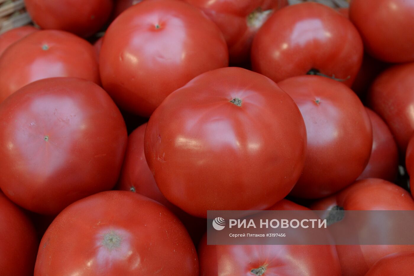 Открытие ярмарки отечественных фермерских продуктов в ГУМе