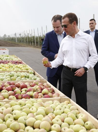 Рабочая поездка премьер-министра РФ Д. Медведева в Адыгею