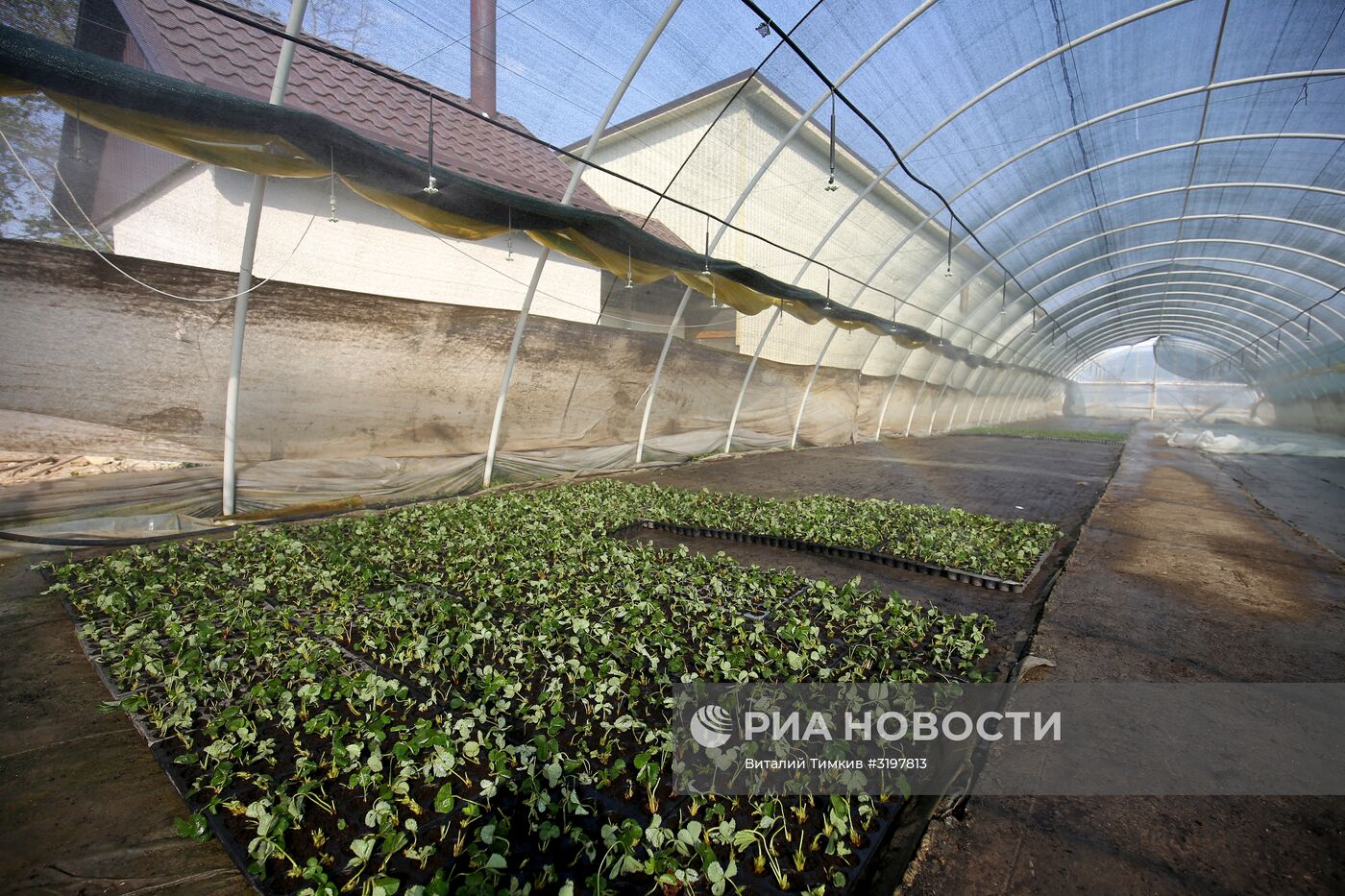 Фермерское хозяйство в Краснодарском крае