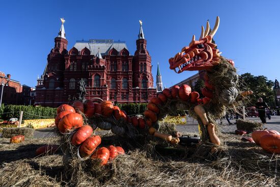 Гастрономический фестиваль "Золотая осень"