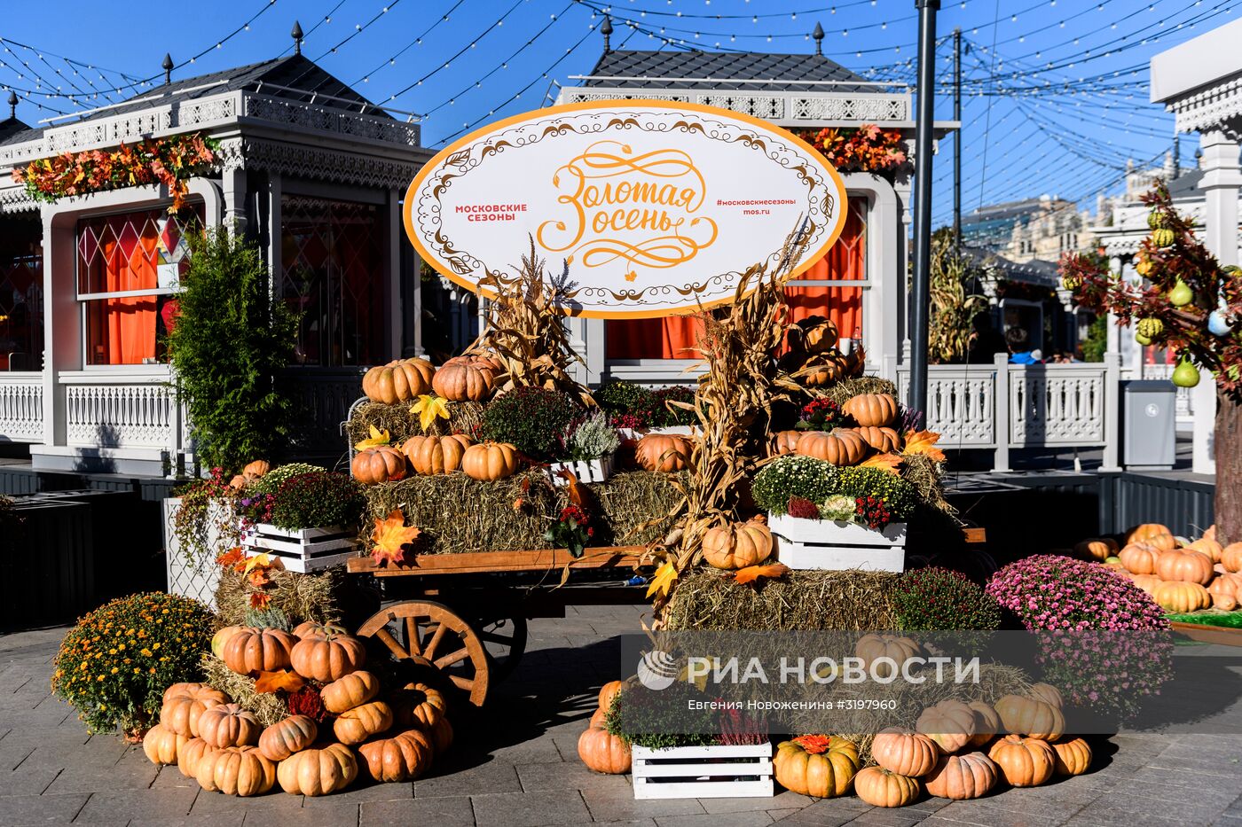 Гастрономический фестиваль "Золотая осень"