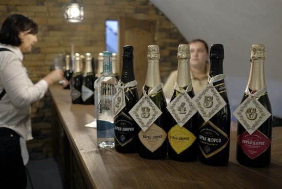 Центр винного туризма "Абрау-Дюрсо" в Краснодарском крае