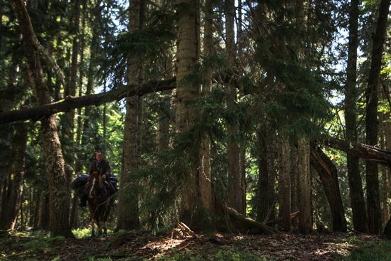 Кавказский государственный природный биосферный заповедник