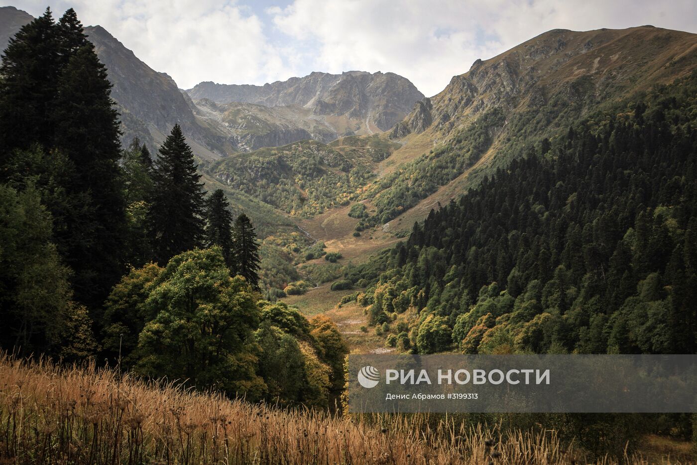 Кавказский государственный природный биосферный заповедник