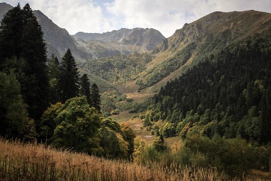 Кавказский государственный природный биосферный заповедник