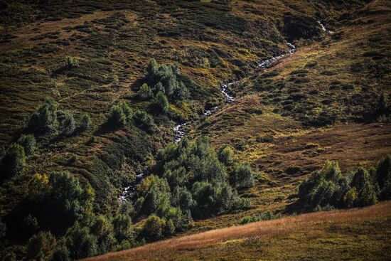 Кавказский государственный природный биосферный заповедник