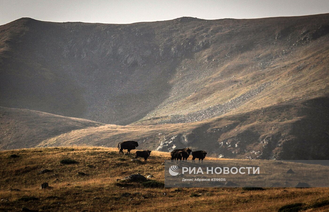 Кавказский государственный природный биосферный заповедник