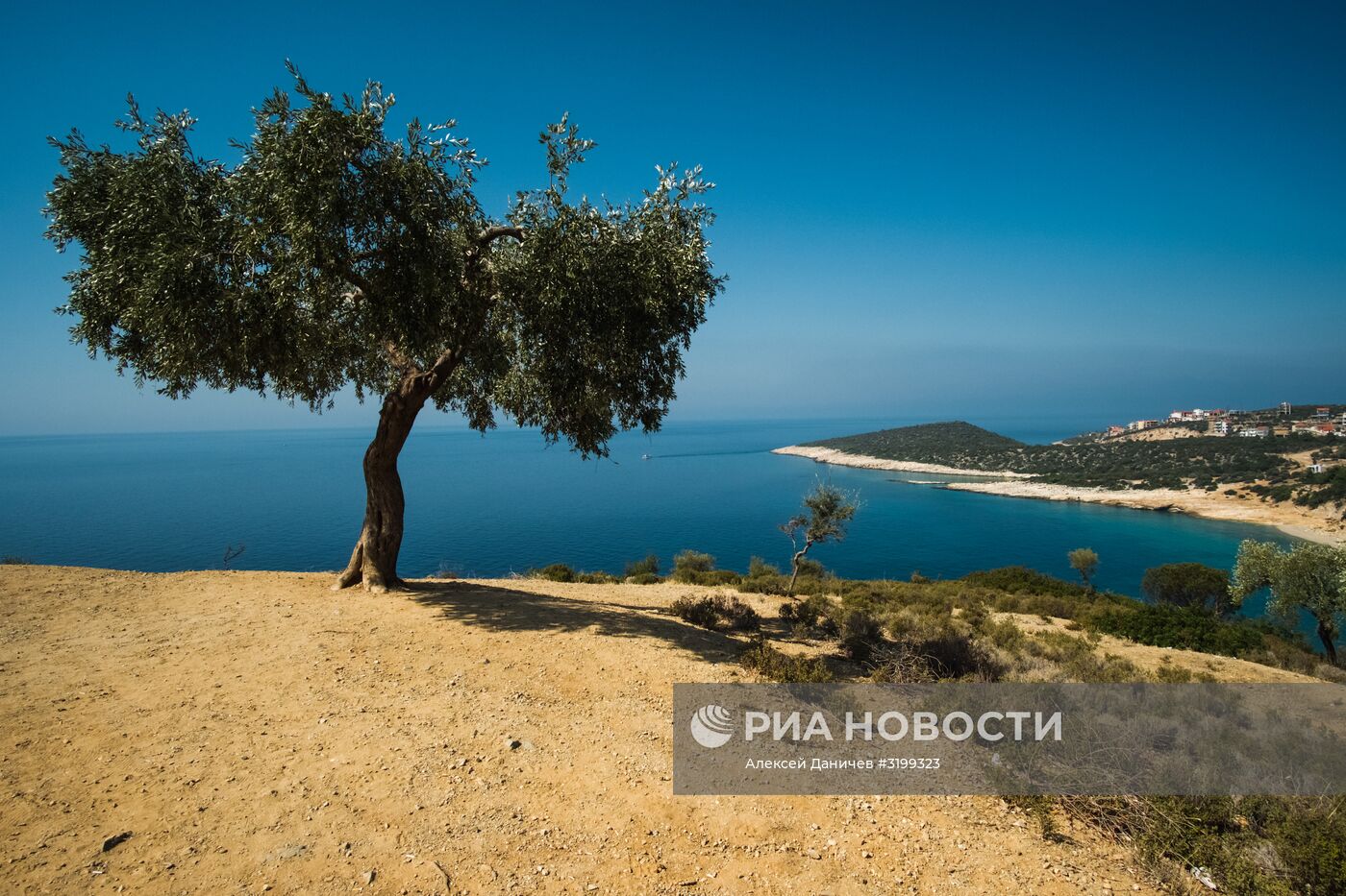 Страны мира. Греция