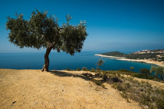 Страны мира. Греция