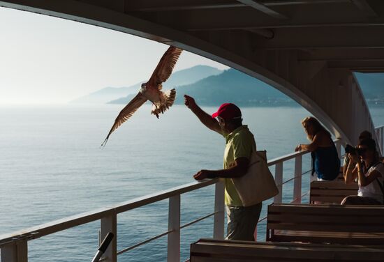 Страны мира. Греция