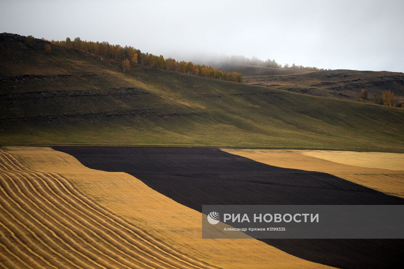 Осень в Сибири