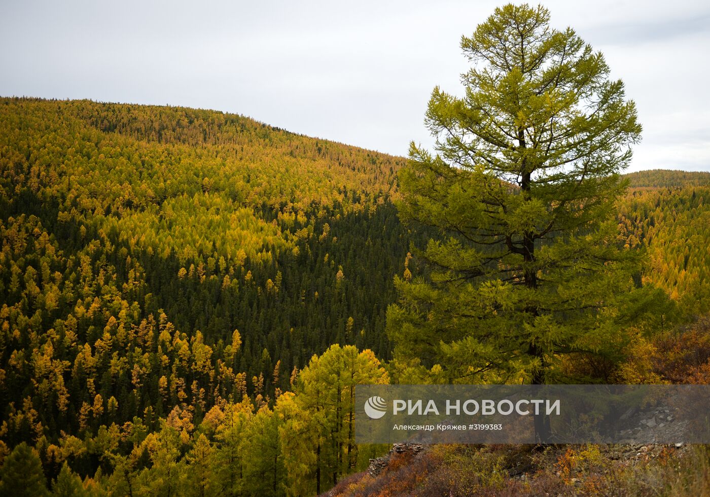 Осень в Сибири