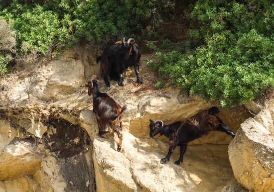 Страны мира. Греция