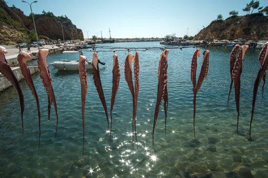 Страны мира. Греция