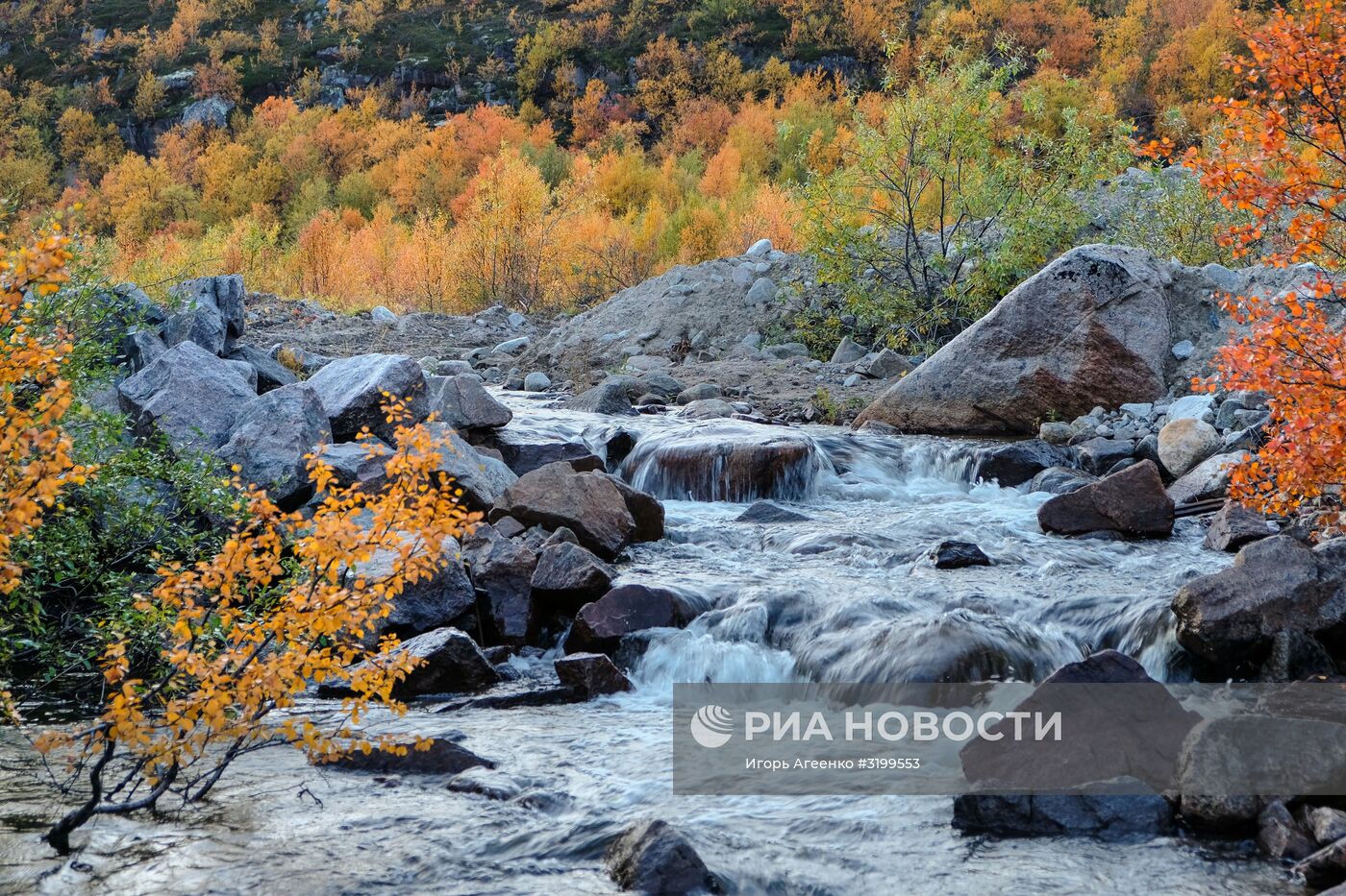 Регионы России. Кольский полуостров