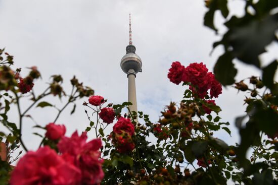 Города мира. Берлин