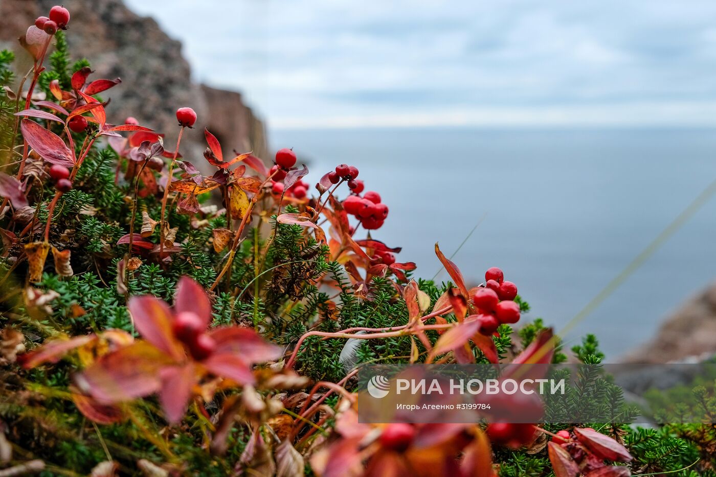 Регионы России. Кольский полуостров