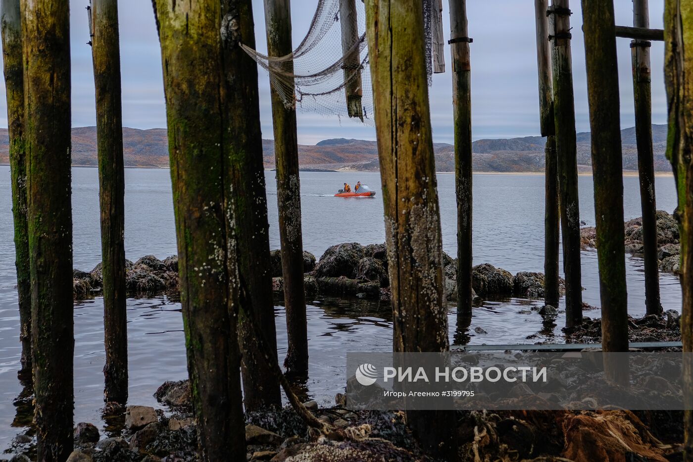 Регионы России. Кольский полуостров