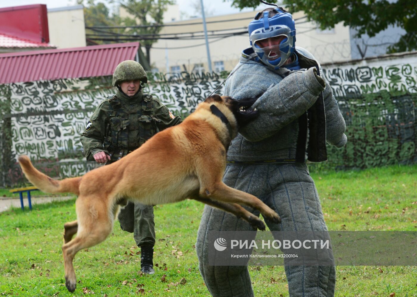 Тренировка служебных собак войск нацгвардии