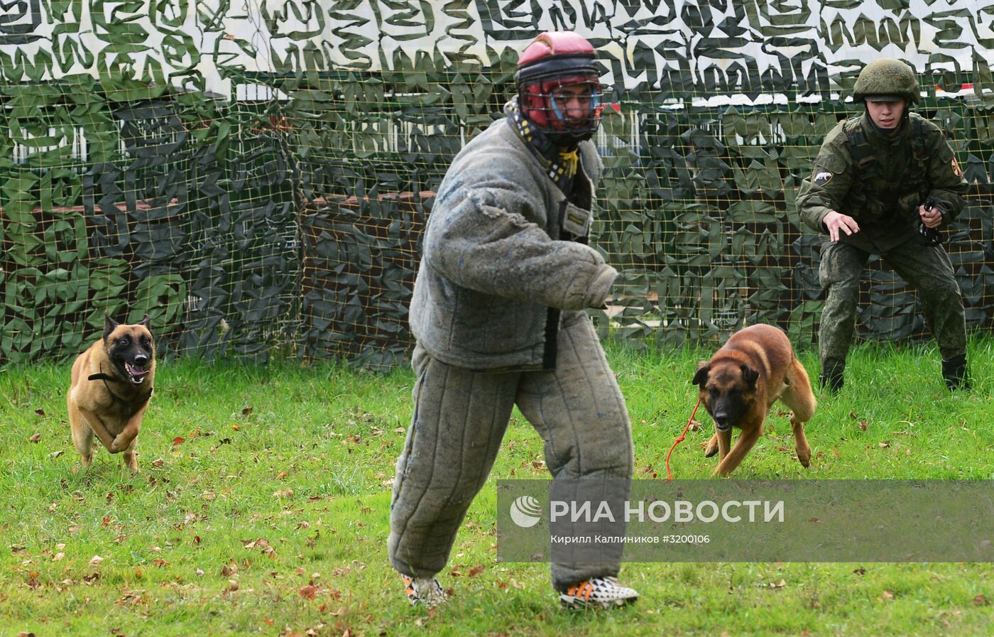 Тренировка служебных собак войск нацгвардии