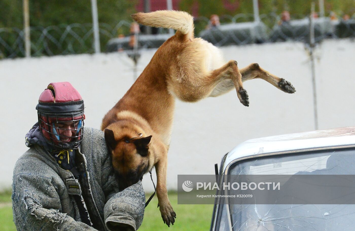 Тренировка служебных собак войск нацгвардии