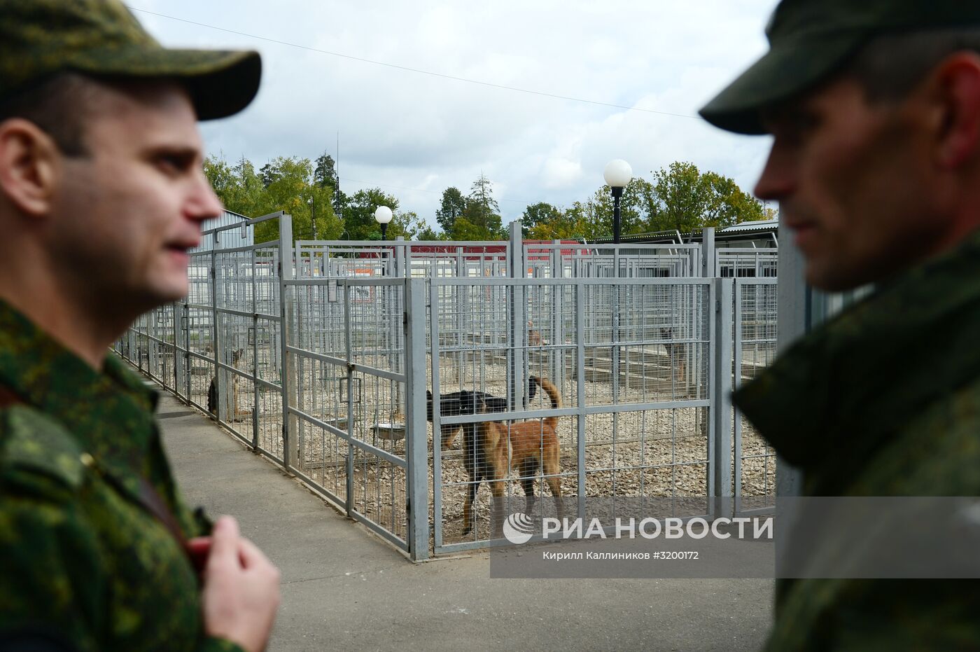 Тренировка служебных собак войск нацгвардии