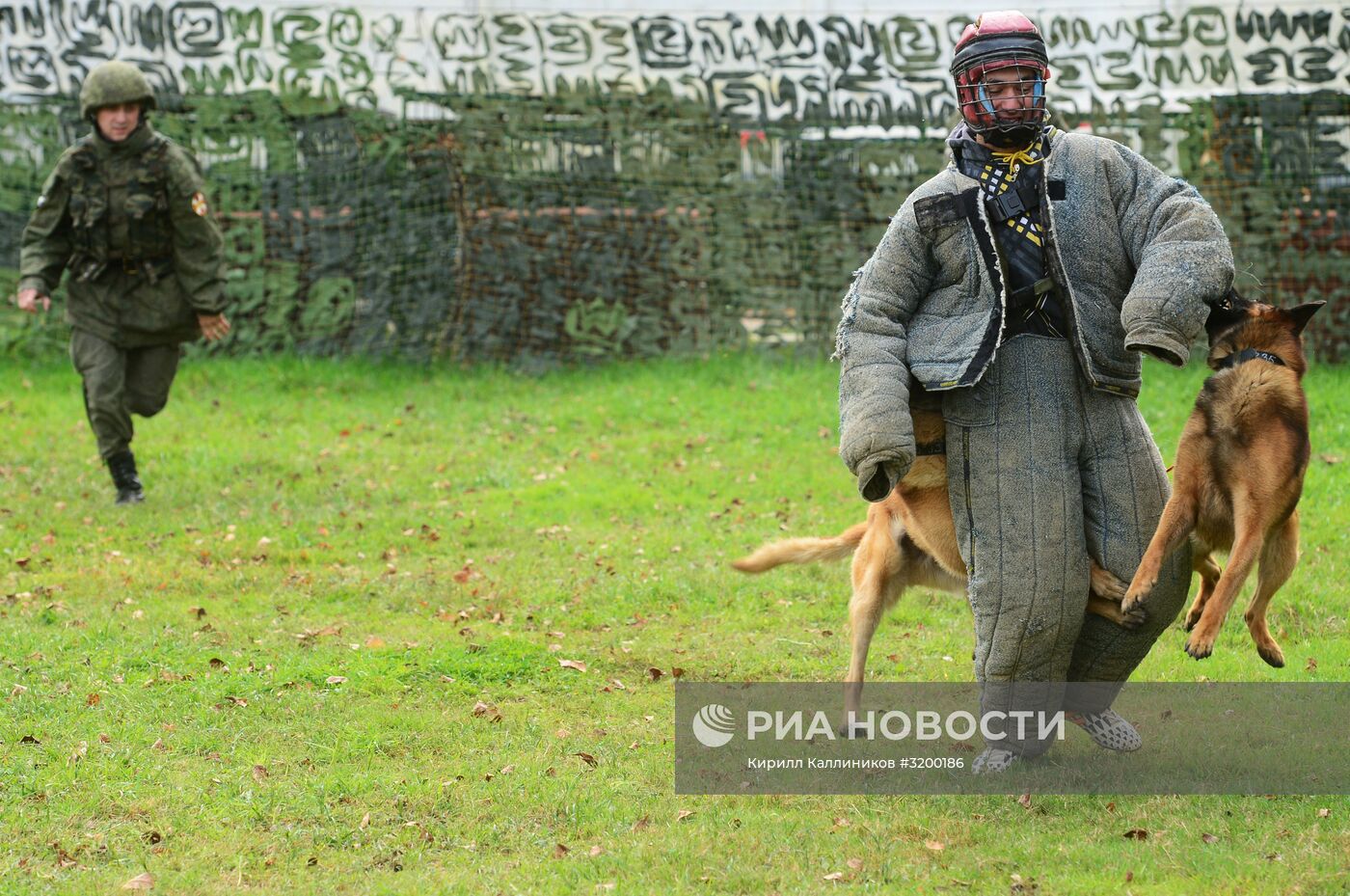 Тренировка служебных собак войск нацгвардии