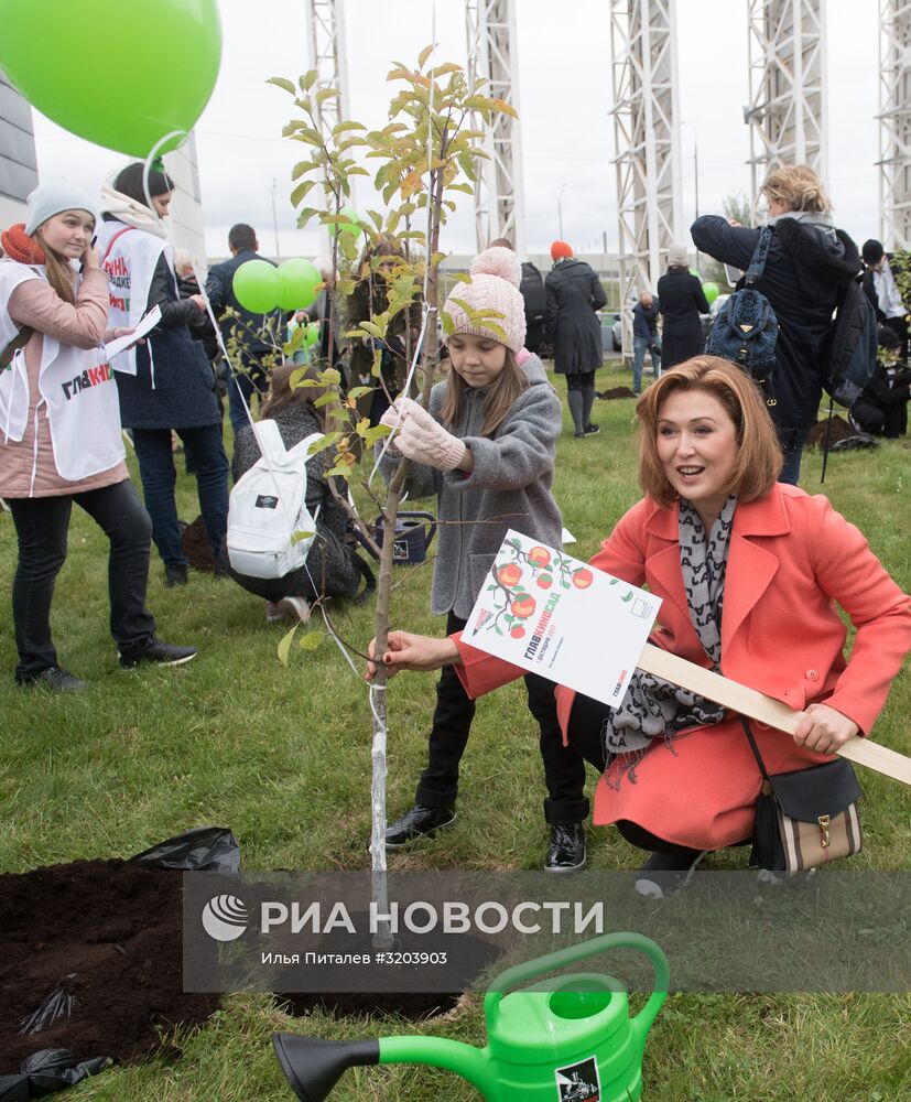 Закладка яблоневого сада на территории кинокомплекса "Главкино"