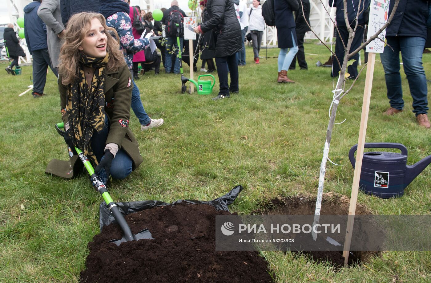 Закладка яблоневого сада на территории кинокомплекса "Главкино"