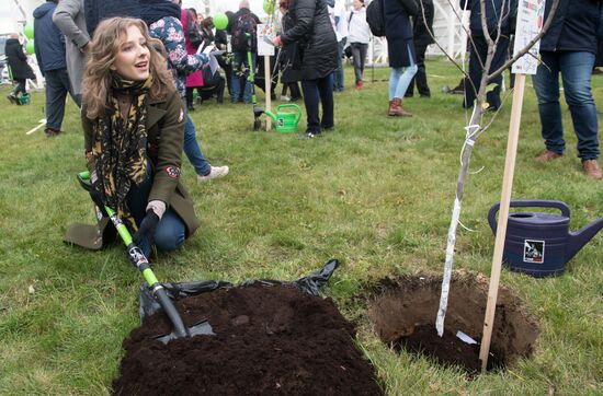 Закладка яблоневого сада на территории кинокомплекса "Главкино"