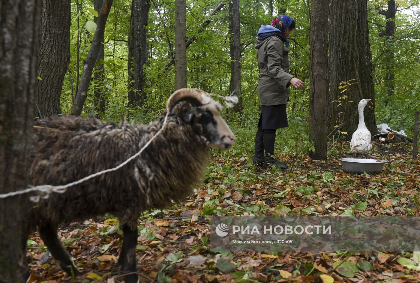 Благодатное моление последователей традиционной марийской религии в священной роще