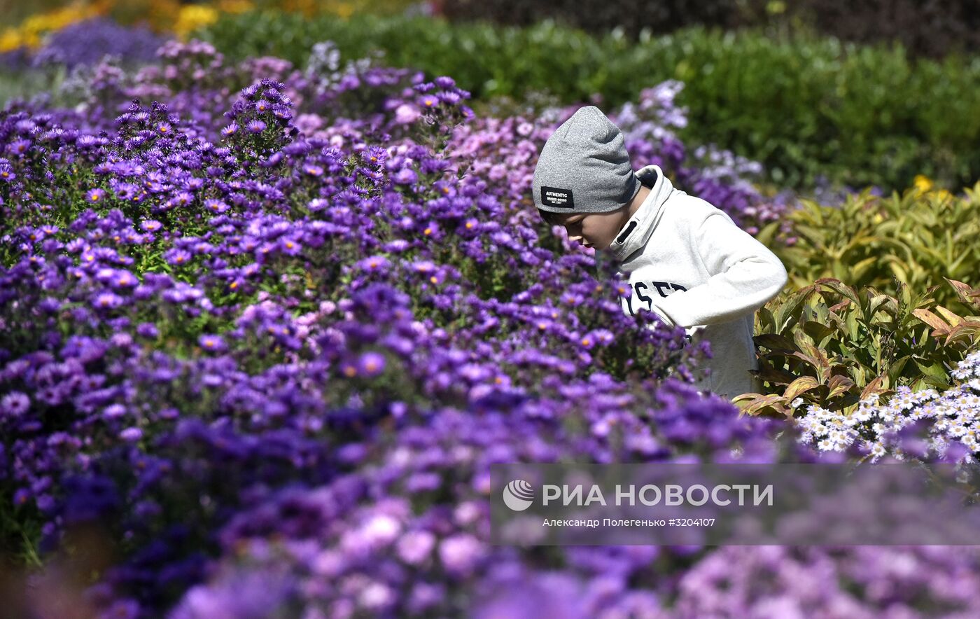 Ботанический сад Крымского федерального университета