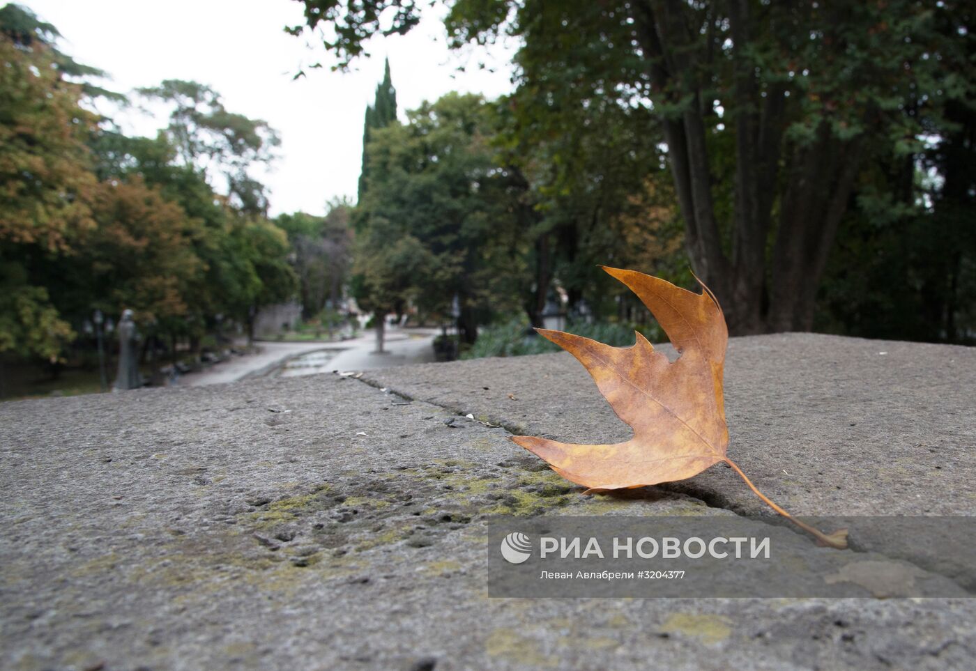 Осень в Тбилиси