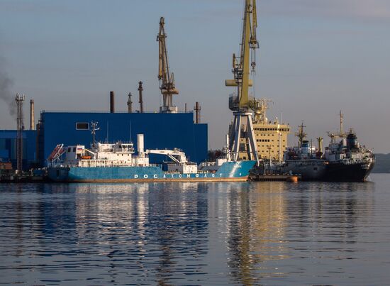 Корабли в портах Кольского залива