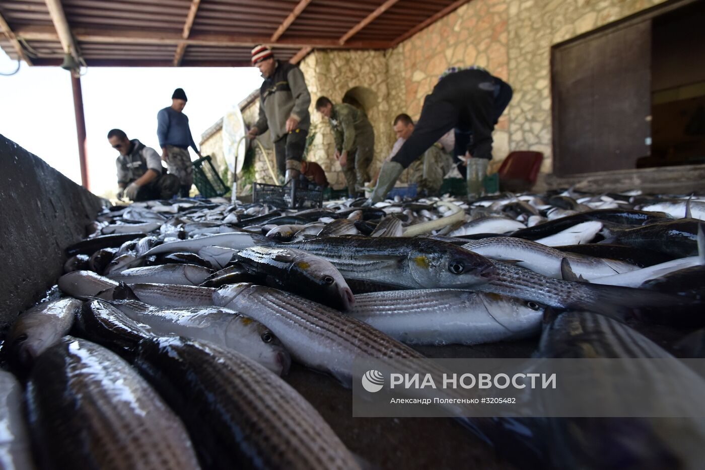 Рыбалка в Крыму