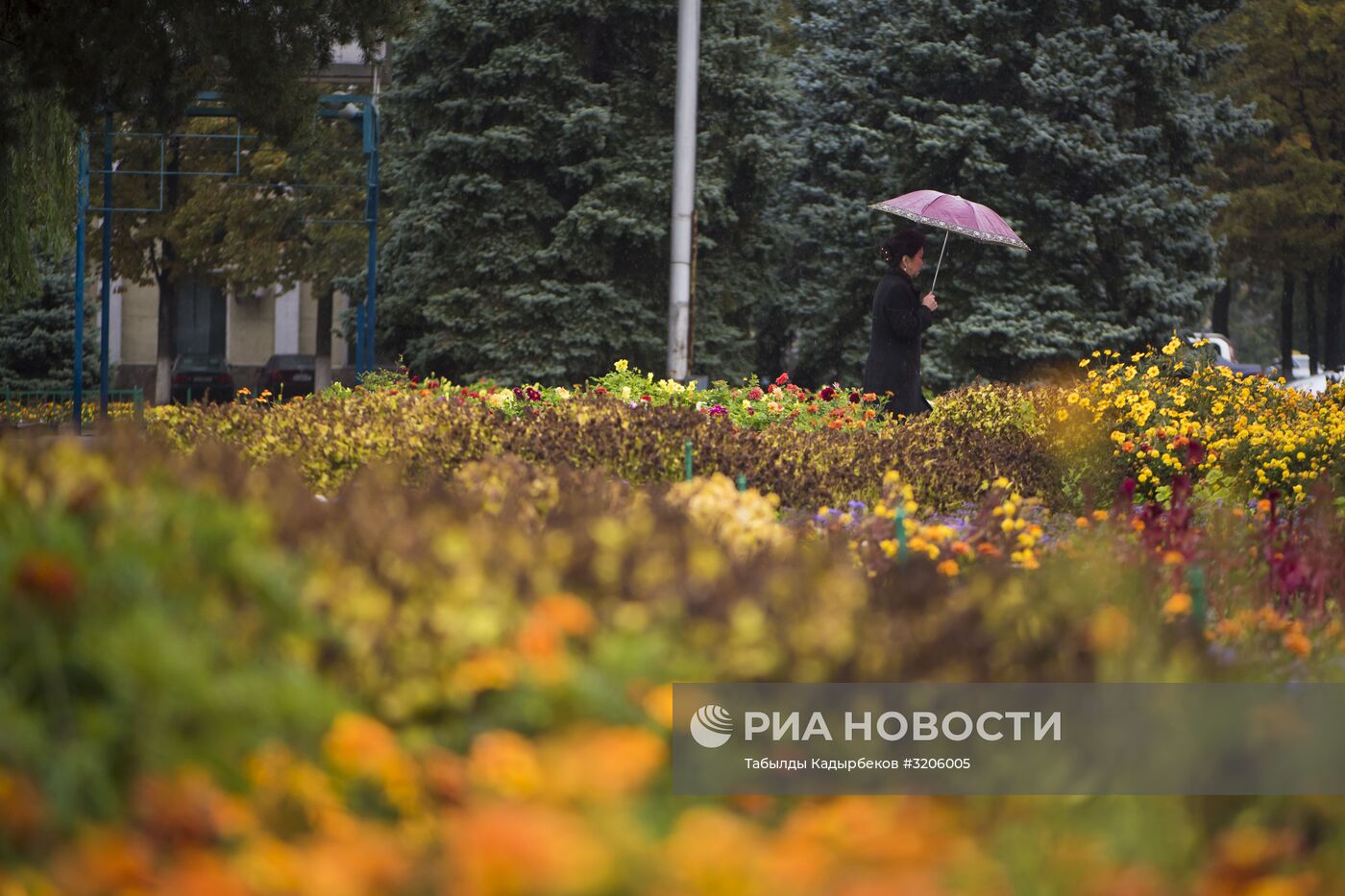 Осень в Бишкеке