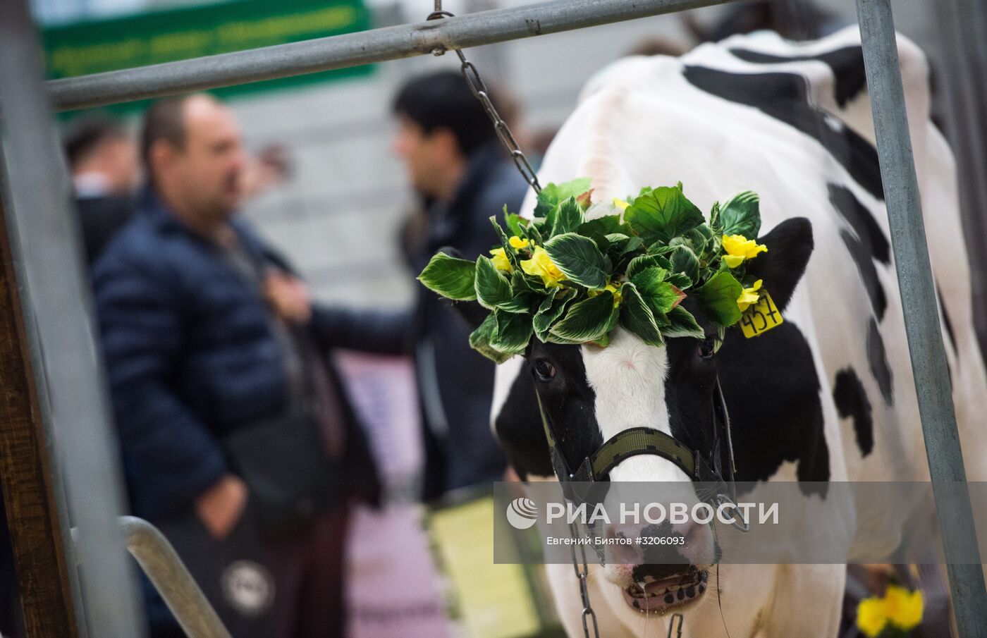 19-я Российская агропромышленная выставка "Золотая осень-2017"