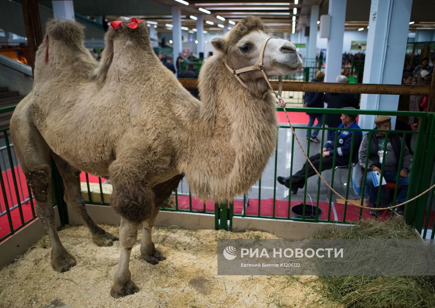 19-я Российская агропромышленная выставка "Золотая осень-2017"