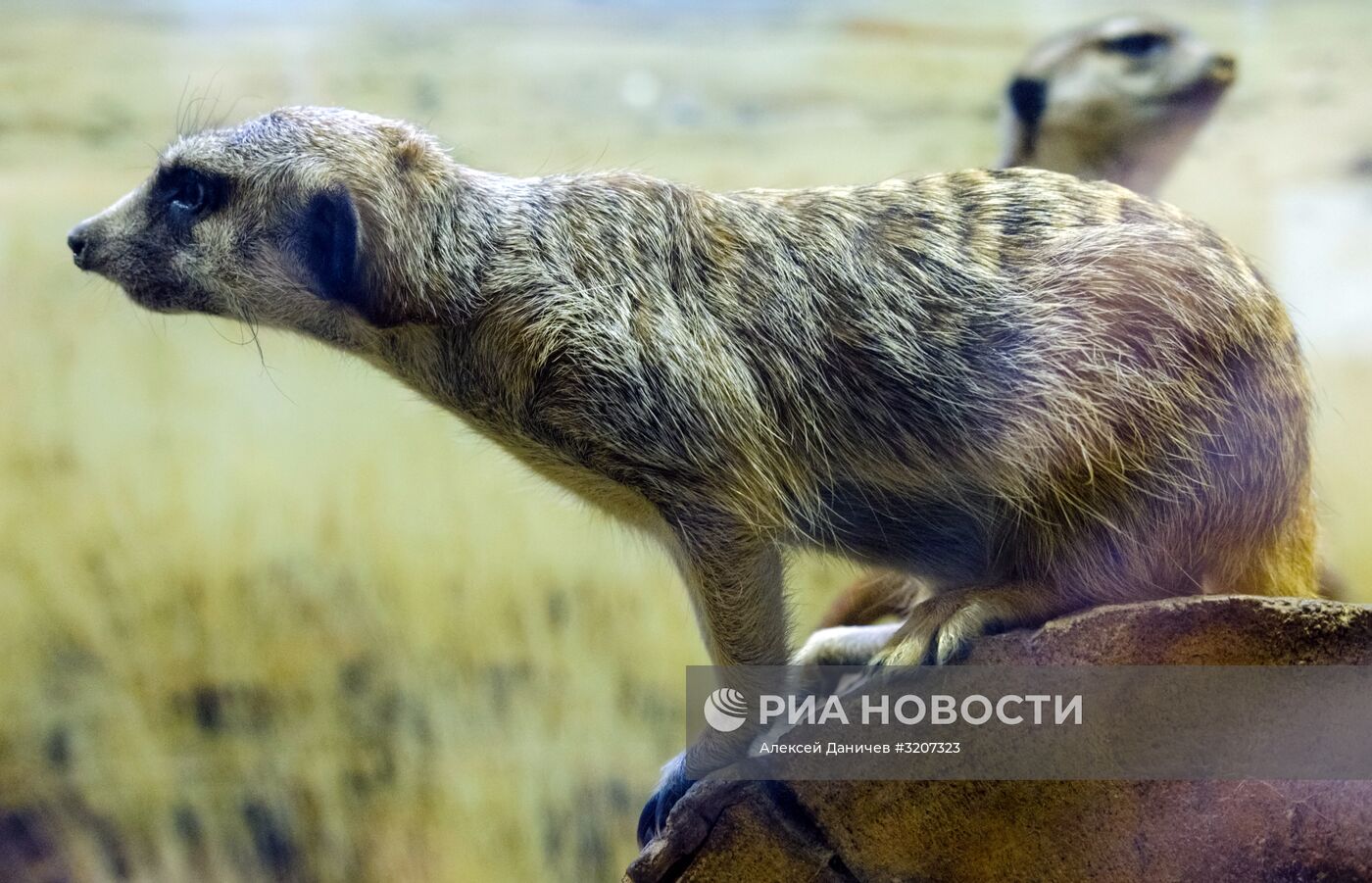 Ленинградский зоопарк