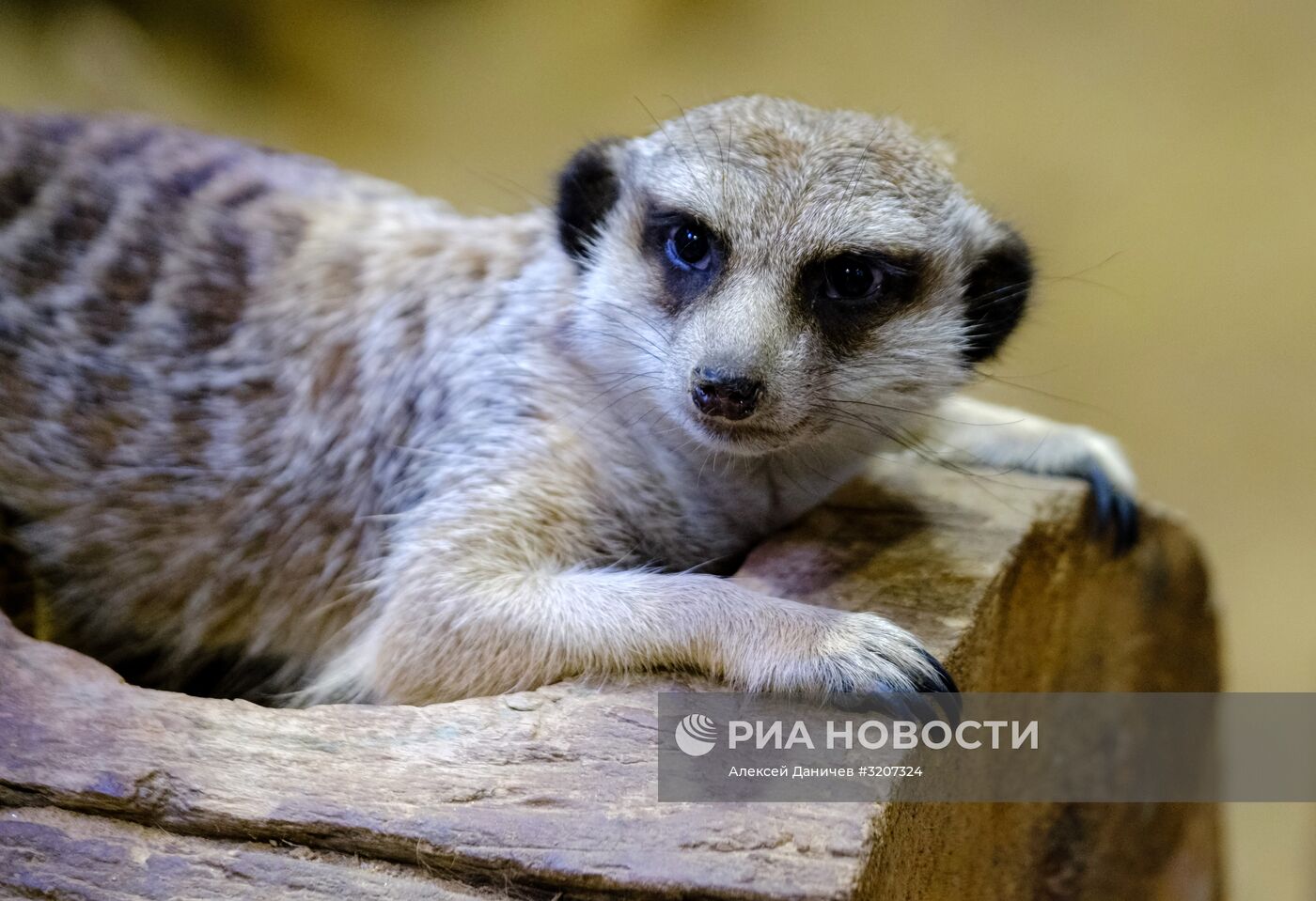 Ленинградский зоопарк